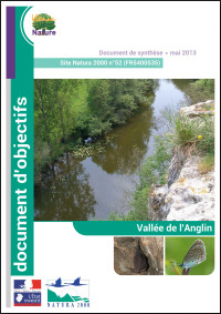 Vignette Docob Vallee Anglin